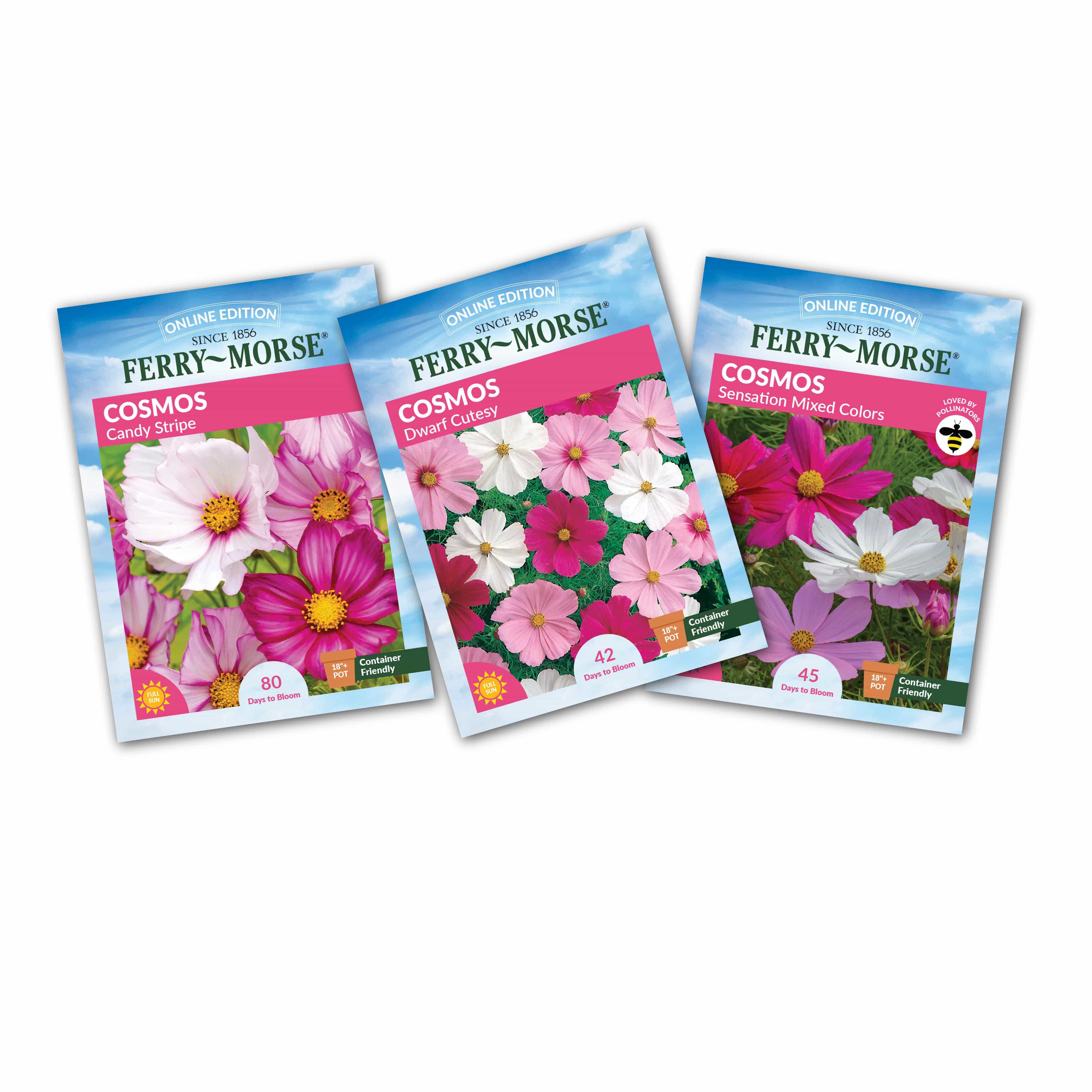 Three packets of Cosmos flower seeds in a variety of colors, labeled with different seed types.
